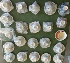 Tea cups