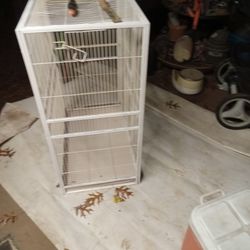 A Large Freashy Painted Bird Cage 
