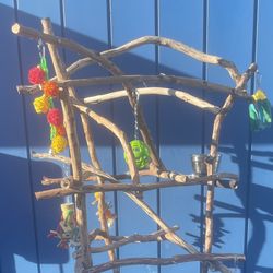 African Grey - Amazon Parrot Perch Tree — Custom Made, Hard Durable Ribbon Wood - Lasts For Years!! 