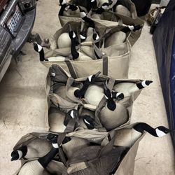 Tangle Free Goose Decoys