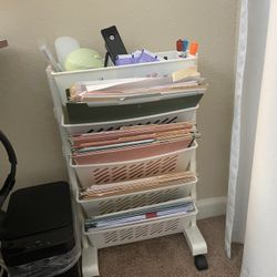 File Organizer