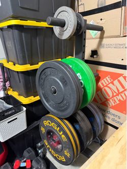 Rogue Fitness Weight Plates and Tree With Wheels Olympic Bumper CrossFit