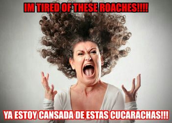 Fumigation roaches cucarachas