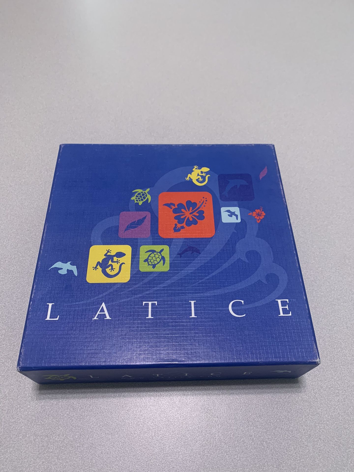 Lattice Board Game 
