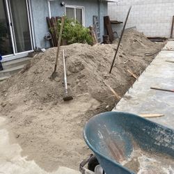 Dirt