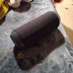 Speaker