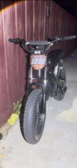 Modded e bike