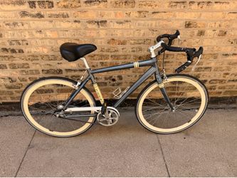Trek District Single-Speed Belt Drive Bike – Needs Minor Brake Adjustment
