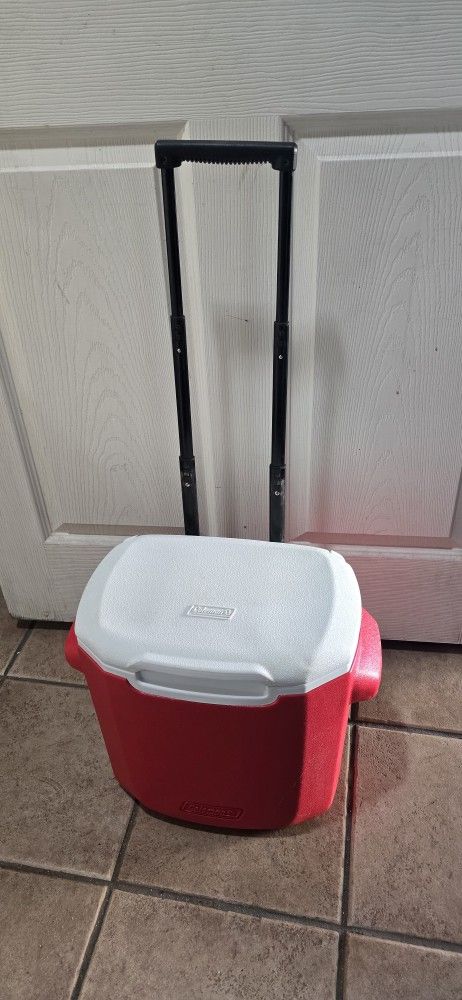 Small Rollijg Cooler