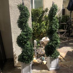 Plant FOR SALE!