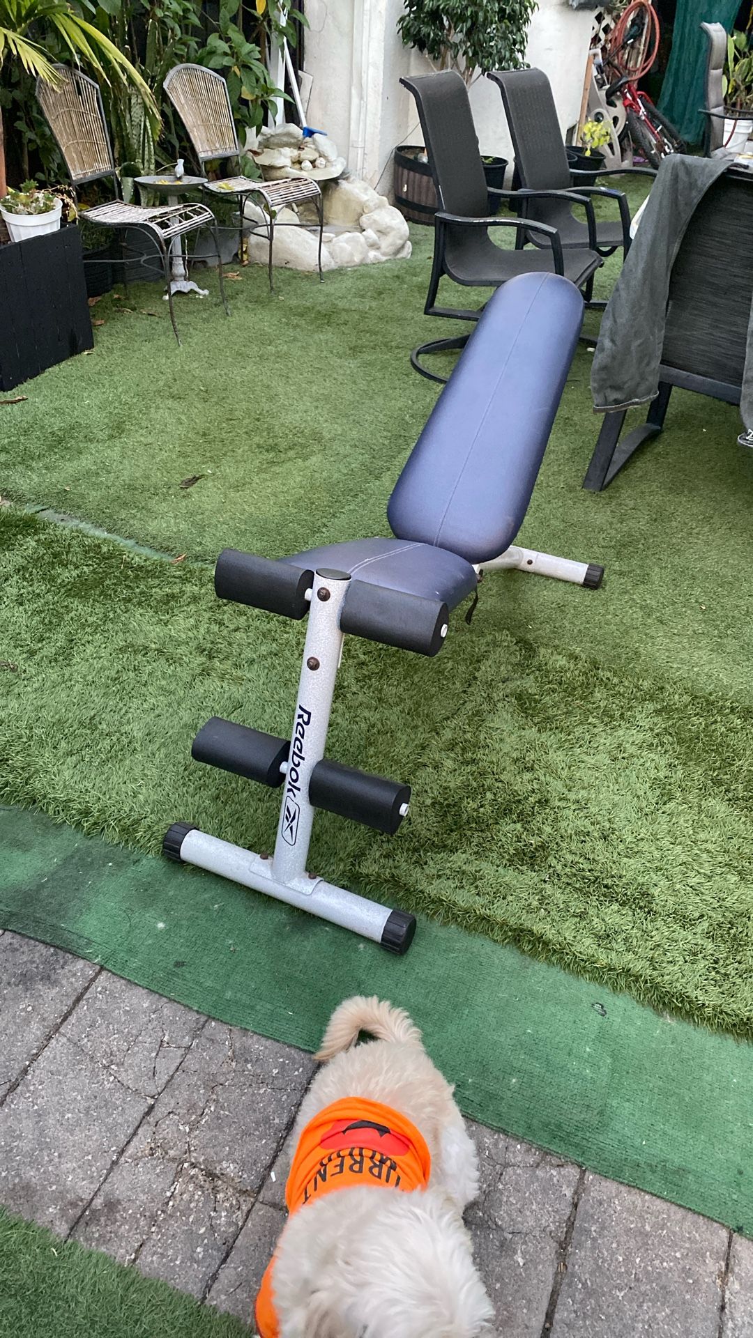 Weight Bench