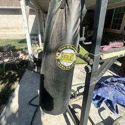 Everlast Punching Bag