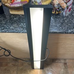 Fully Functioning Lamp