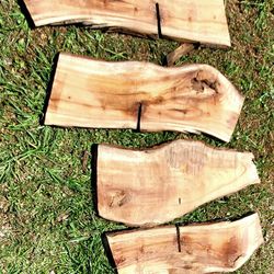 Live edge camphor tree slabs for DIY charcuterie or projects abt 30" x 8-10" x 1"