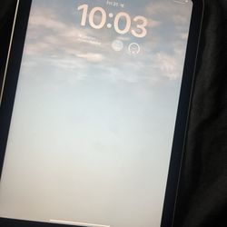 ipad mini 6