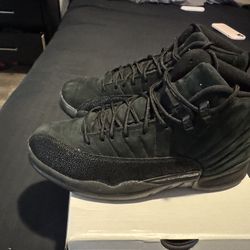 Jordan 12 OVO