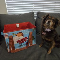 NEW Trader Joe's Stand-Up Collapsible Grocery Tote Bag