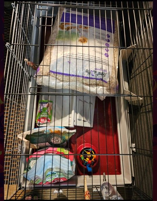Bunny Starter Bundle