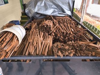 Dry bundled kindling.