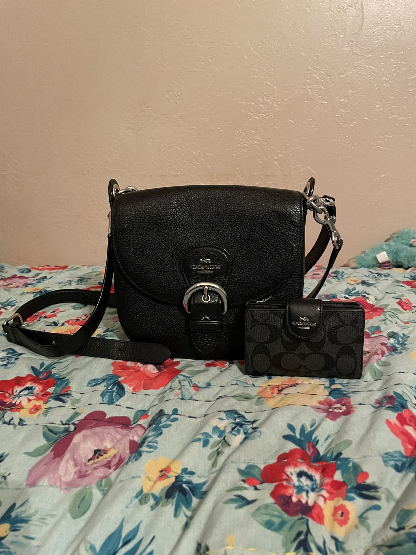 Coach Purse & Wallet