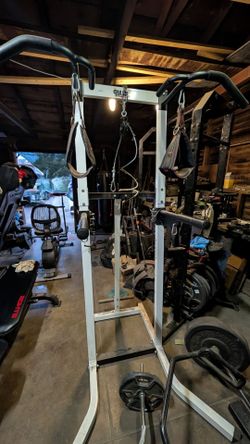 Dip/pull up stand