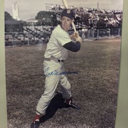 Ted Williams Autographed photo 16”x20”- Boston Redsox- HOF