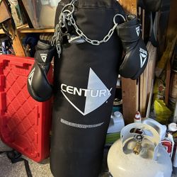 Century Punching Bag