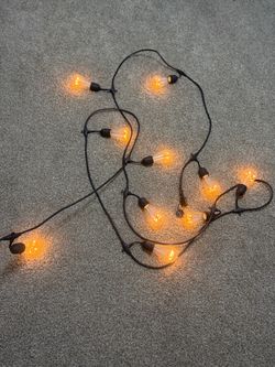Outdoor Edison 10- Bulb String Lights