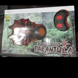 Propella RC Giant Wild Tarantula with Lifelike Movement & Glowing  Red LED Eyes New