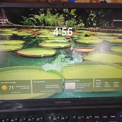 Asus Vivobook Go 15.6