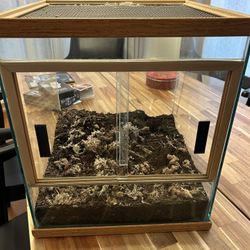 Reptile Tank And Supplies 