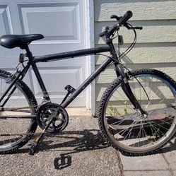 Black 12 Speed Bike