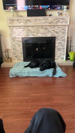 flooring installer