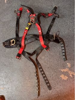 Safety harness