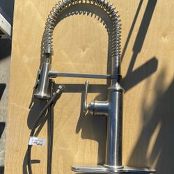 Koehler Kitchen Faucet