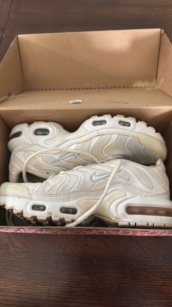 White tnn’s 4.5Y