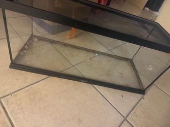 reptile snake enclosure
