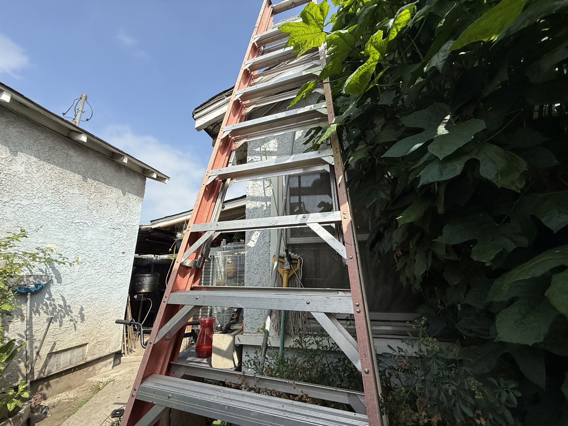 12 foot ladder