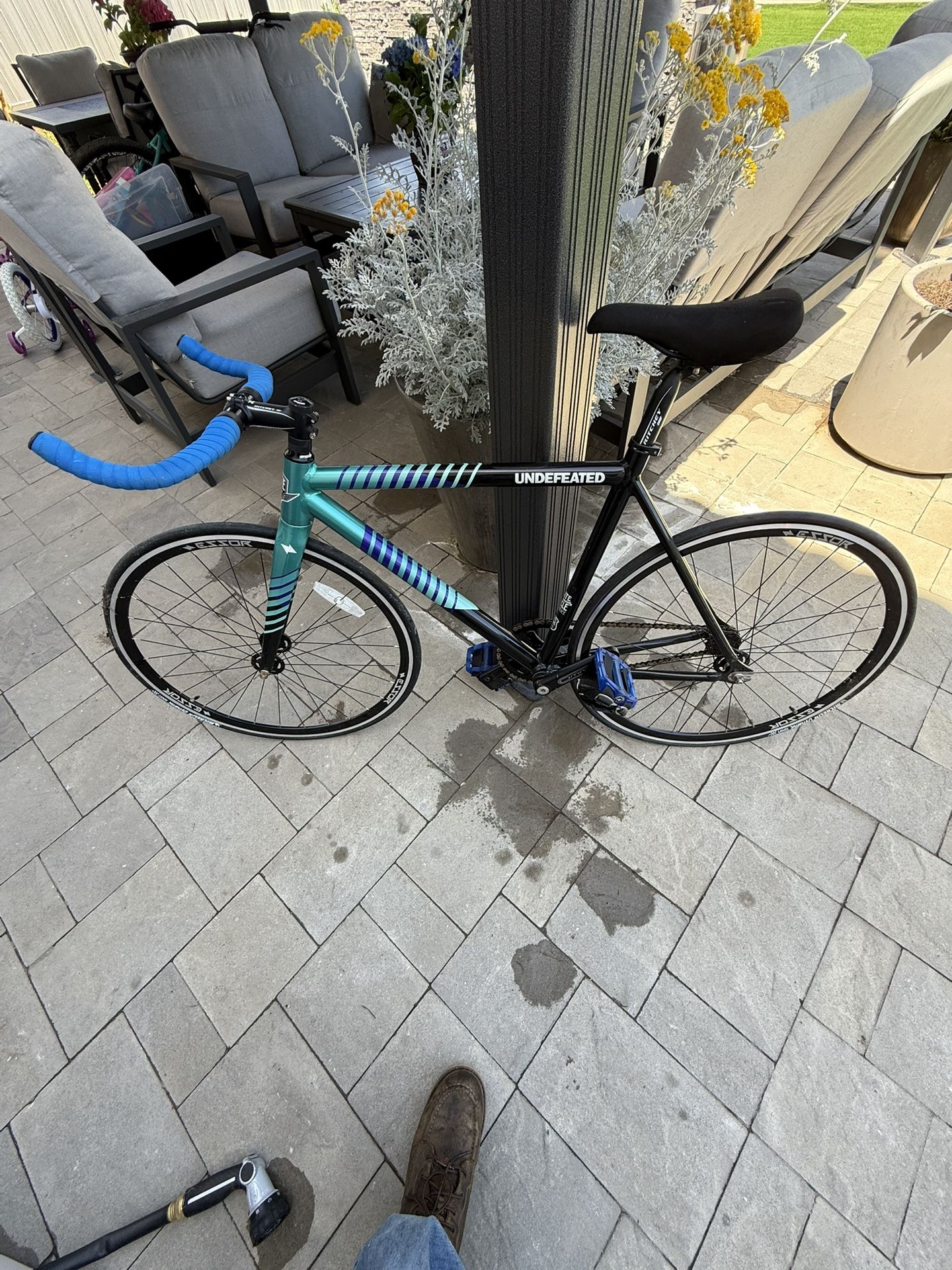 State Bicycle Undefeated