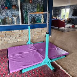 Adjustable Gymnastic Bar And Mat