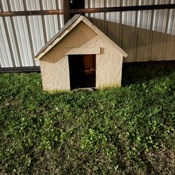 Dog House 