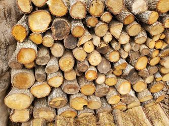 Mesquite,oak and Pecan