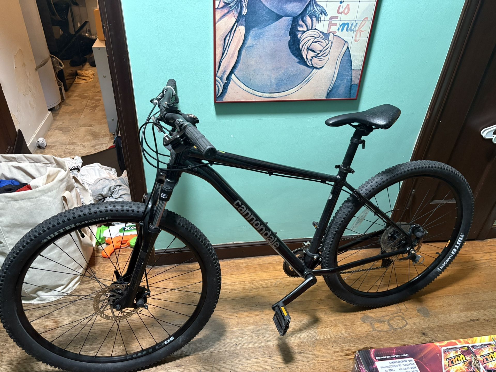 Cannondale Trail 2