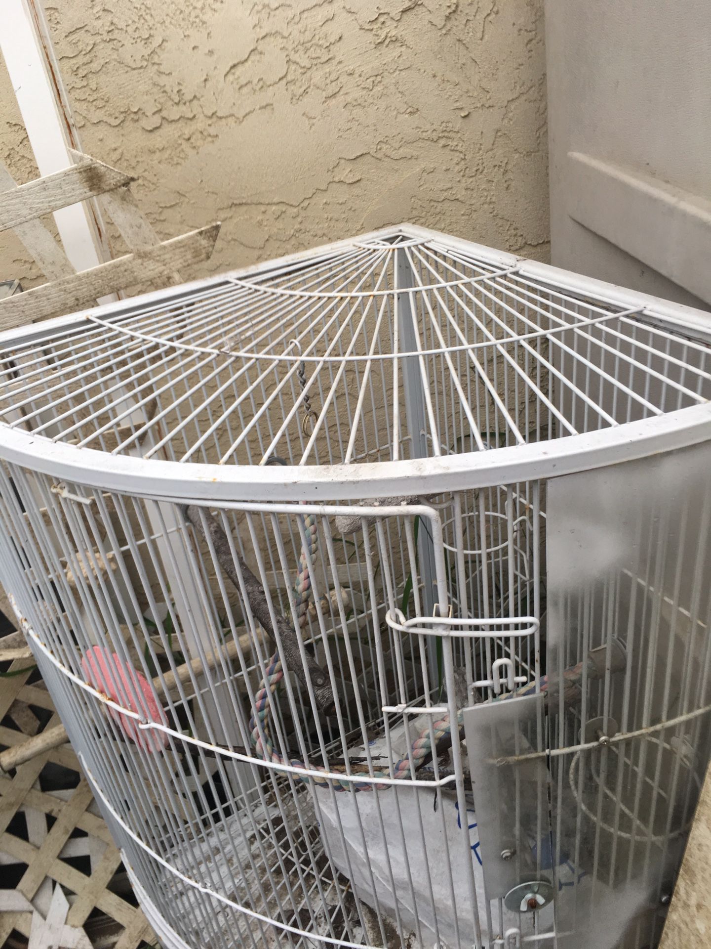 Bird cages available for Sale in Oceanside, CA OfferUp
