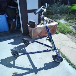 Trikke bike