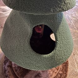 cat tree