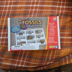 Fossils Collection Box