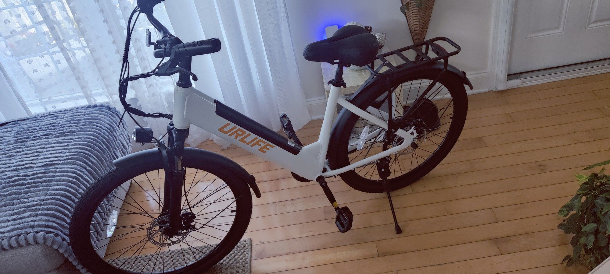 Electric Bike