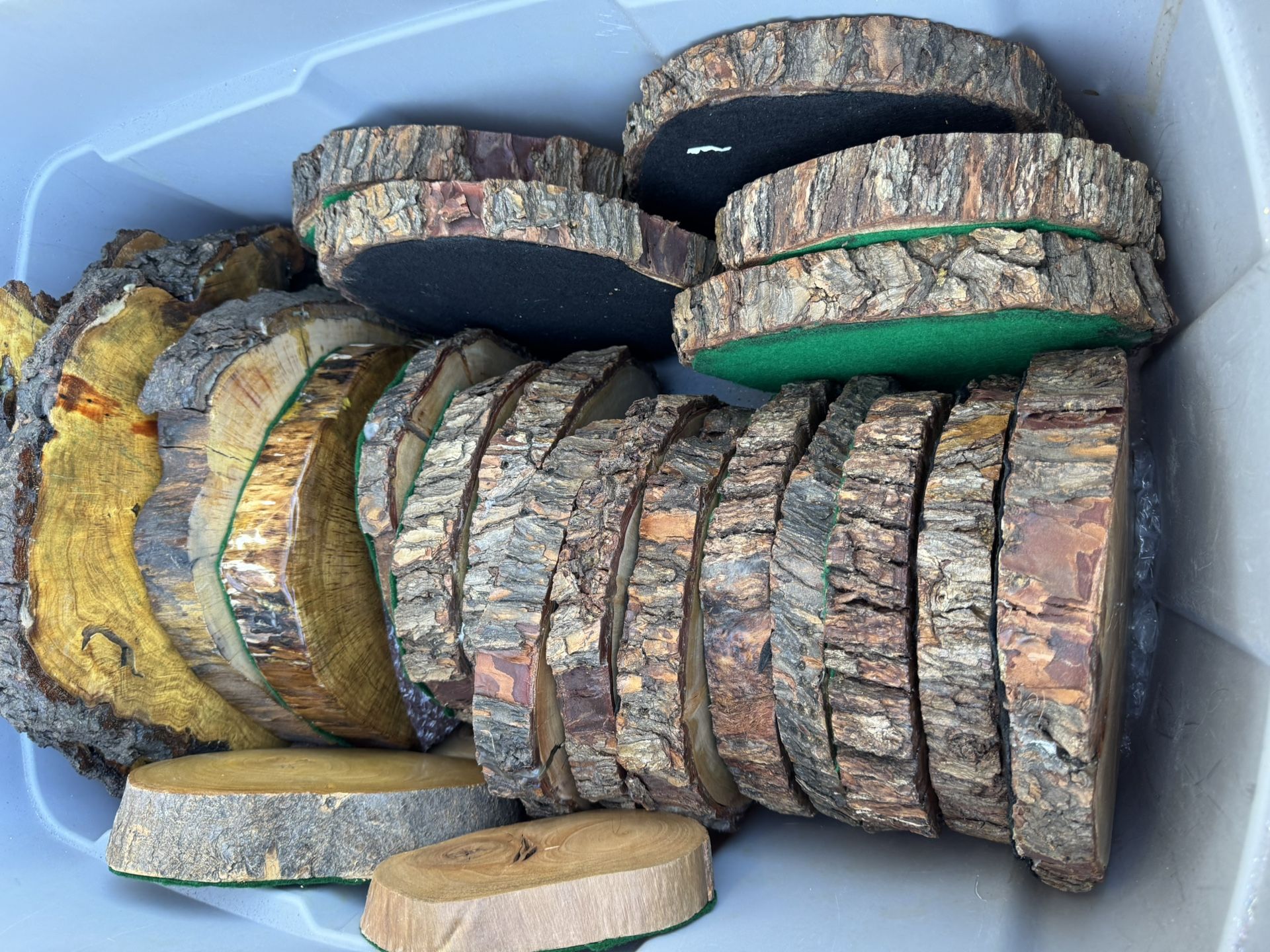Wood Slices