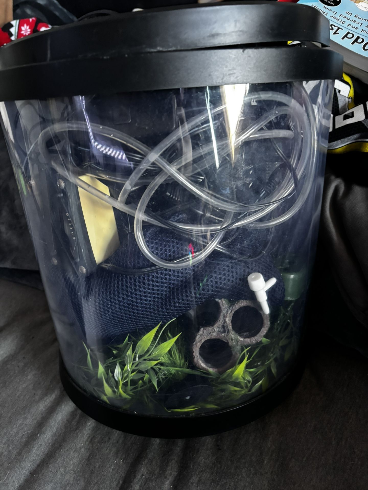 3.5 Gallon Fish Tank Bundle